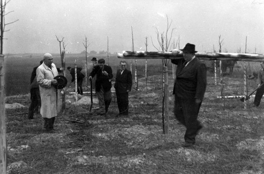 Zobacz, jak rodził się park chorzowski ZOBACZ ZDJĘCIA