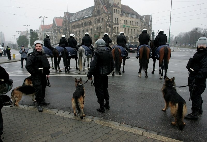 Podczas Marszów Równości w Poznaniu co roku w mobilizacji są...