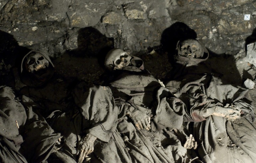 Szkielety z krypt klasztoru Reformatów