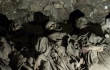 Zobacz szkielety z krypt klasztoru Reformatów [ZDJĘCIA]