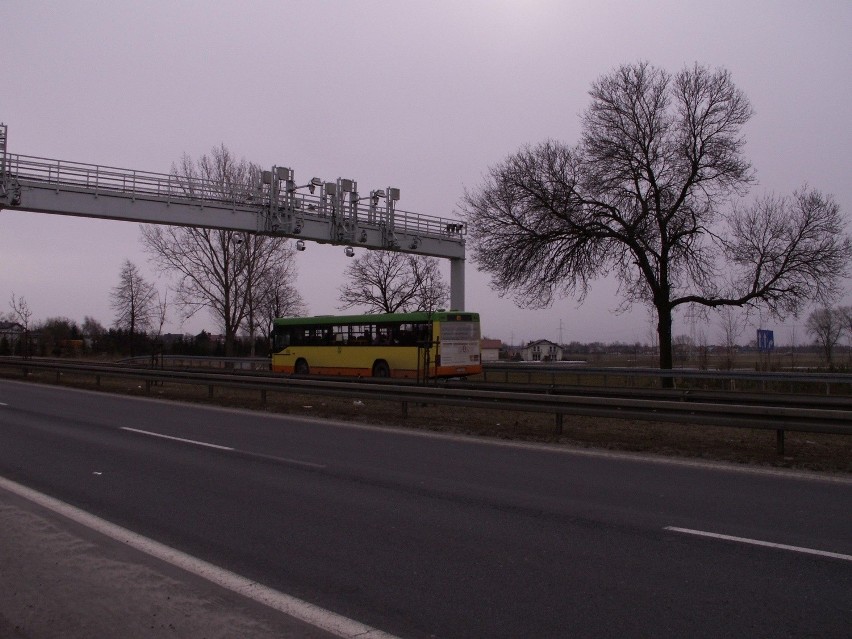 60 procent kursów  wykonywanych przez autobusy spółki TP Bus...