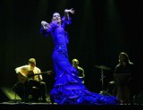 Festiwal flamenco w Poznaniu dobiega końca [ZDJECIA]