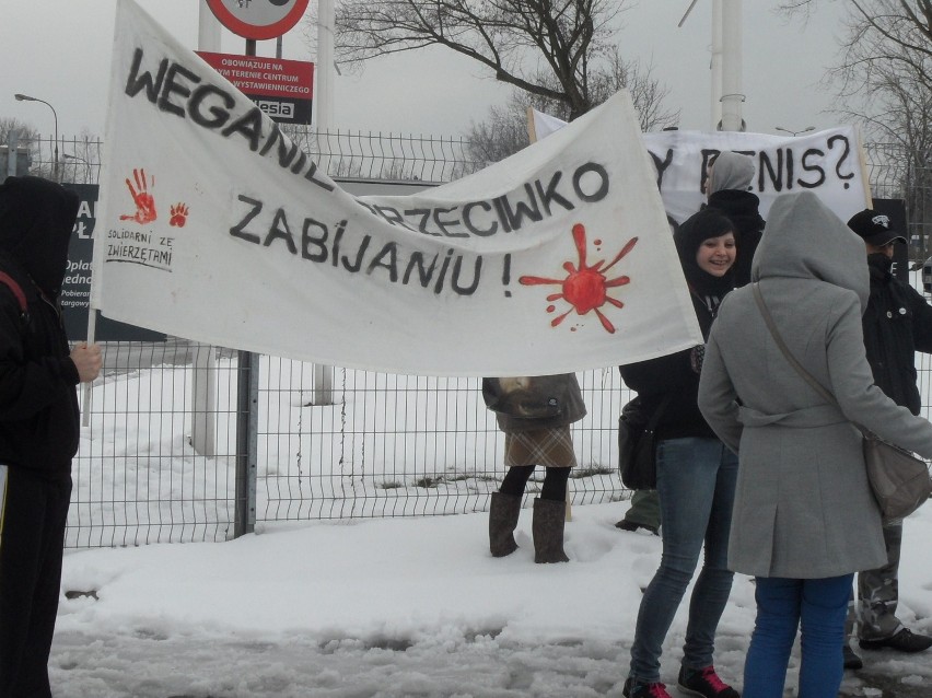 Sosnowiec: Weganie protestowali przeciwko targom łowieckim w Expo Silesia [ZDJĘCIA i WIDEO]