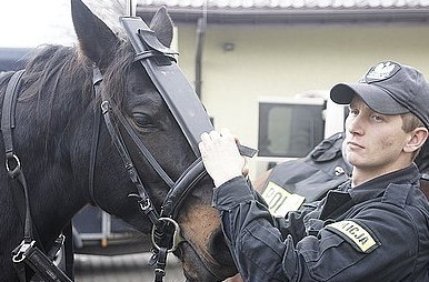 Ćwiczenia policji konnej