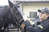 Uzbrojeni policjanci i konie walczyli z pseudokibicami [WIDEO i ZDJĘCIA]