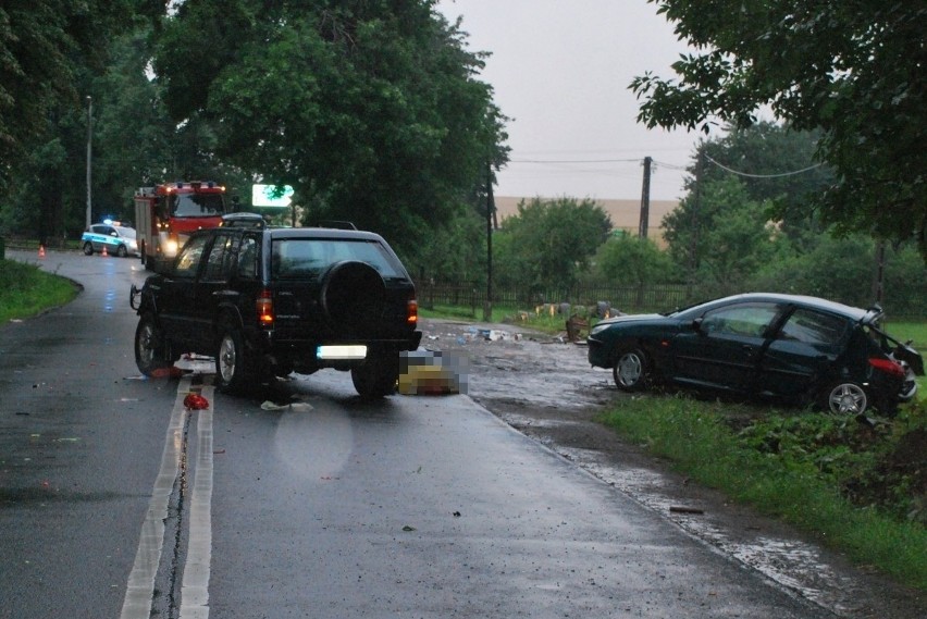 Biskupice w gminie Pilica: Wypadek na DW 790. Nie żyje kierowca peugeota [ZDJĘCIA]