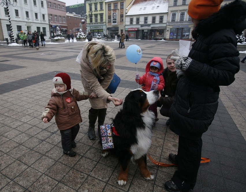 WOŚP w Rybniku w obiektywie Mikołaja Suchana [ODSZUKAJ SIĘ NA ZDJĘCIACH]