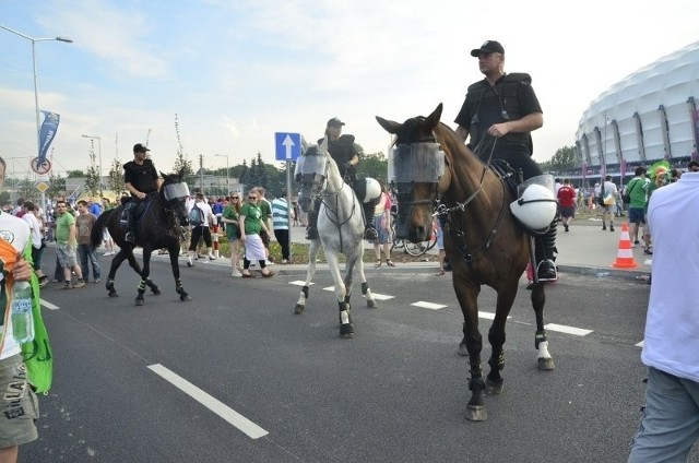 W czasie Euro 2012 porządku w Poznaniu pilnowali między innymi policjanci na koniach. Część z nich przyjechała ze Szczecina