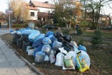 Chciał oddać liście, a dostał mandat