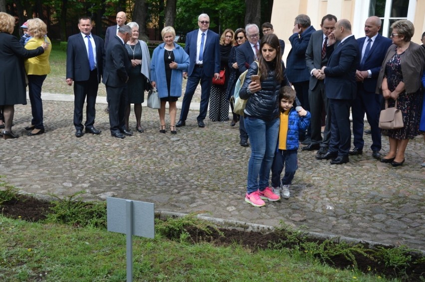 Wsadzili dąb i odsłonili tabliczkę pamięci płka Mosiewicza