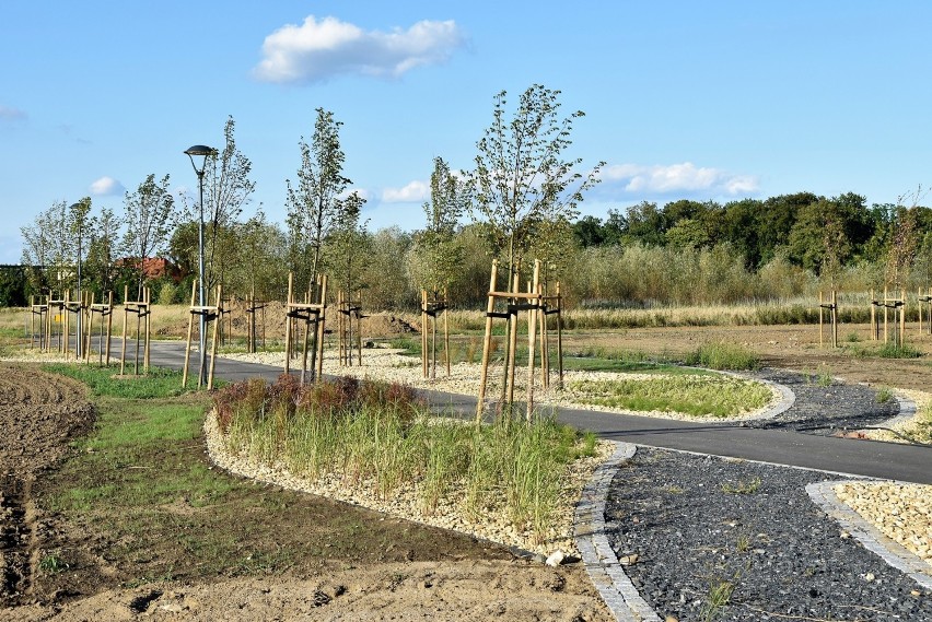 Budowa parku 800-lecia w Opolu rozpoczęła się na początku...