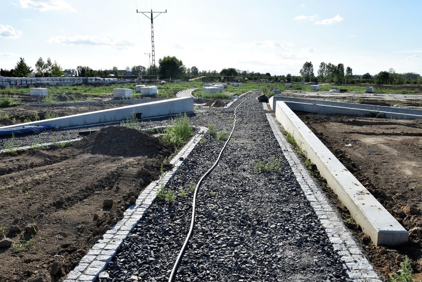 Budowa parku 800-lecia w Opolu rozpoczęła się na początku...