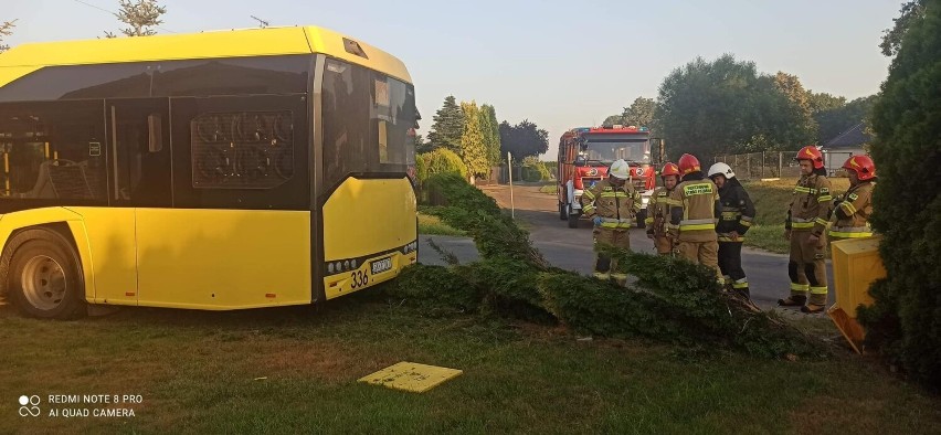 Zobacz kolejne zdjęcia. Przesuwaj zdjęcia w prawo - naciśnij...