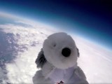 Uczniowie z Wielkiej Brytanii wysłali w stratosferę pluszowego pieska. Teraz poszukują maskotki (wideo)
