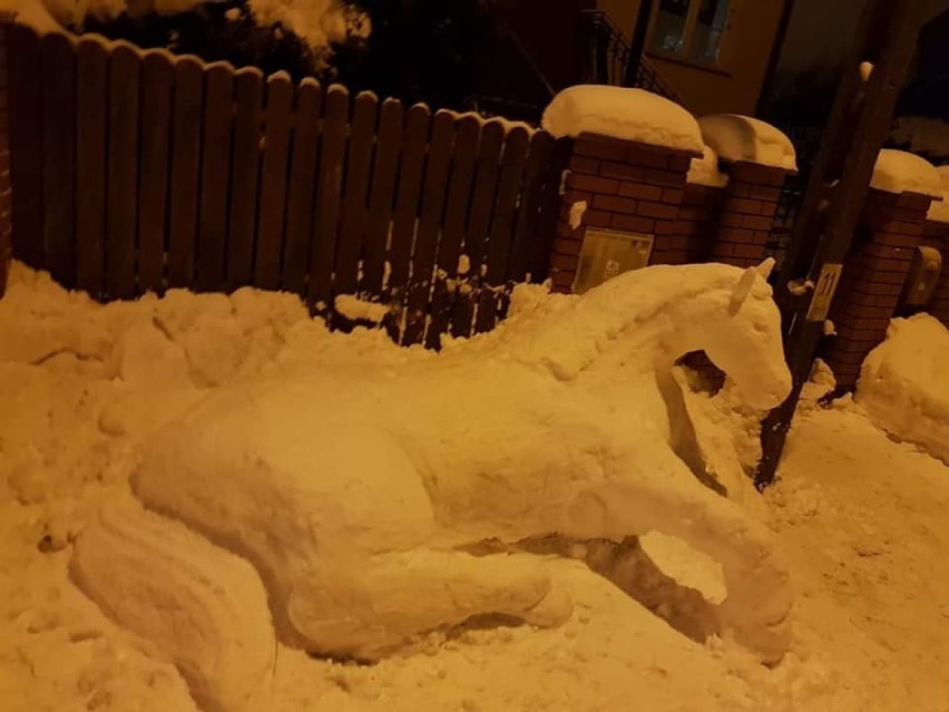Sfinksy, konie i żółwie. Nie do wiary, ale tak wymyślne rzeźby ze śniegu lepią sokółczanie 