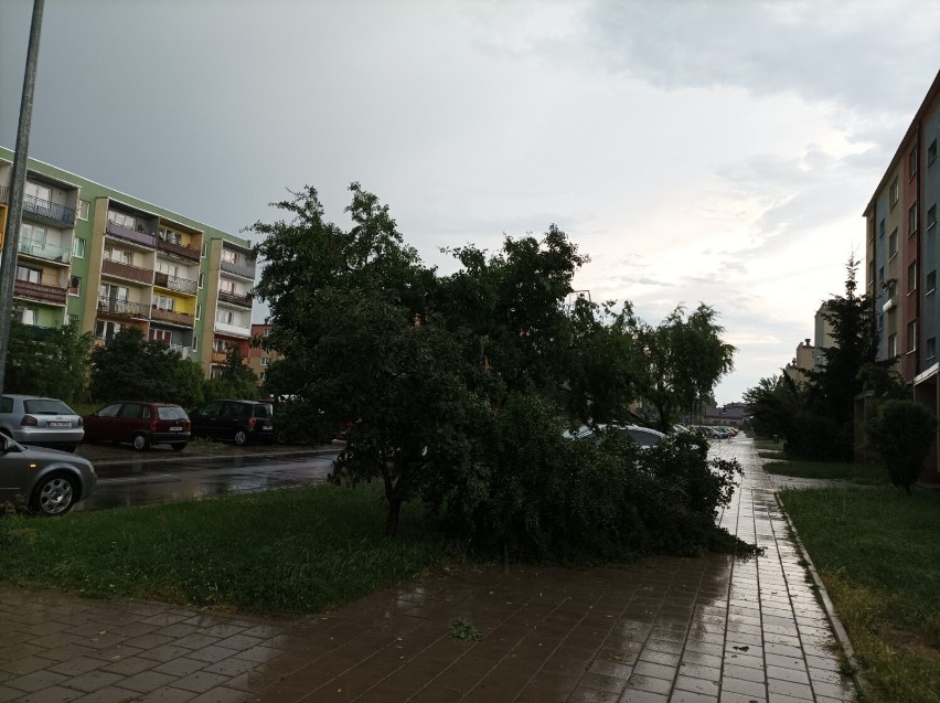 Po gwałtownej burzy nad Tomaszowem straż pożarna miała pełne ręce roboty [ZDJĘCIA]