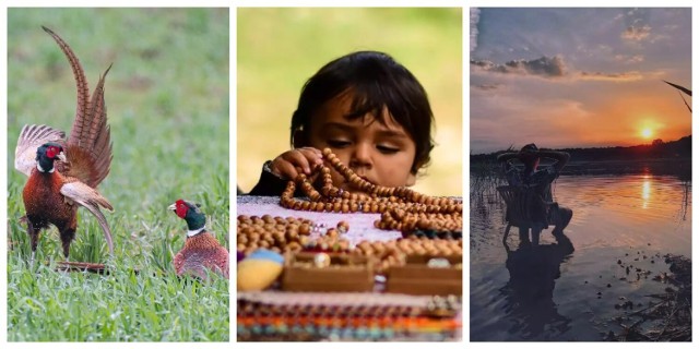 Konkurs plebiscytowy polega na wyłonieniu laureatów w drodze głosowania czytelników w różnych kategoriach artystycznych. My prezentujemy prace w kategorii „Talent Fotograficzny” wykonane przez fotografów z powiatu słupeckiego - po 2 zdjęcia na każdego fotografa.