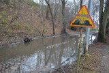 Ta ulica to wstyd dla Gdyni. Jest szansa, że ul. Nowodworcowa zostanie wyremontowana [zdjęcia, wizualizacje]