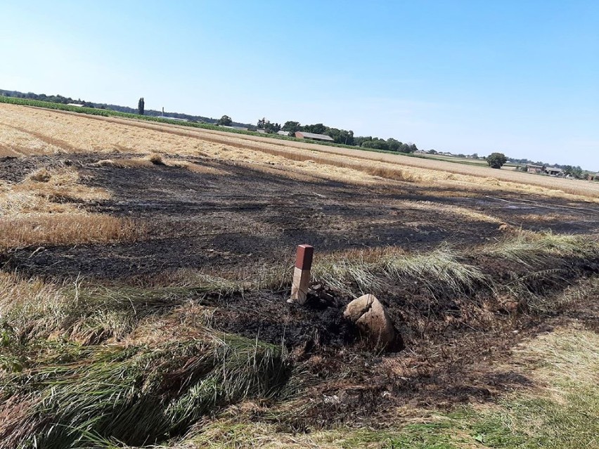 Pożar ścierniska w Macewie