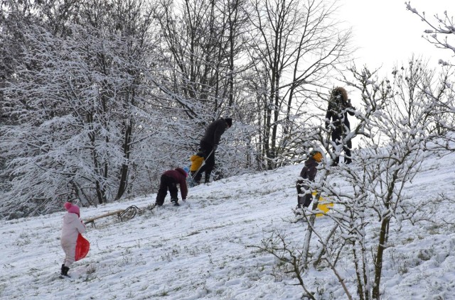 W pierwszy grudniowy weekend zima na dobre zawitała do inowrocławskich Solanek. W niedzielę, 3 grudnia, park tętnił życiem. Nie brakowało tam saneczkarzy, spacerowiczów, a nawet rowerzystów