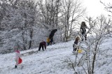 Śnieżna niedziela w Solankach w Inowrocławiu. Sanki, spacer, a nawet rower. Zdjęcie
