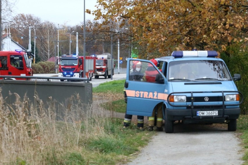 W niedzielę rano straż pożarna otrzymała zgłoszenie...