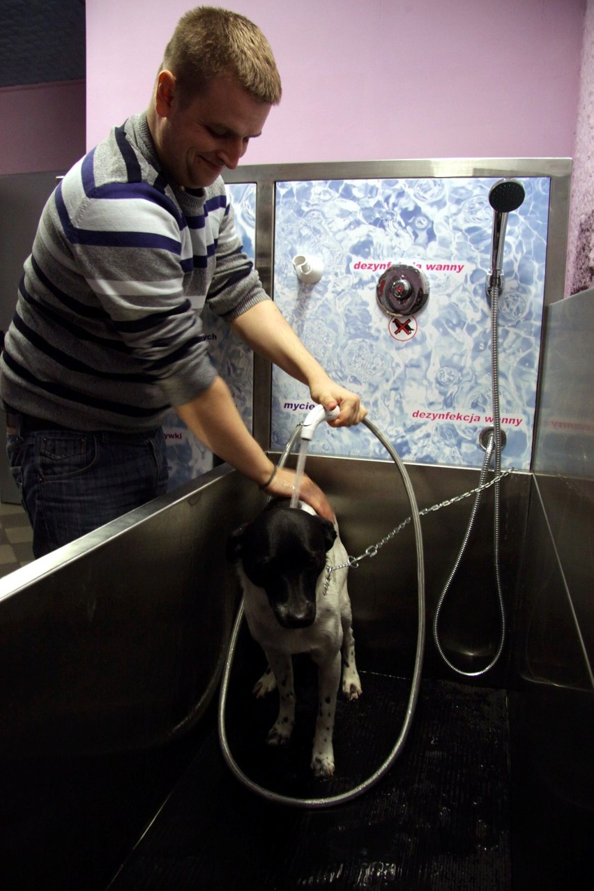 Myjnia dla psów w Lublinie działa od ponad tygodnia.
