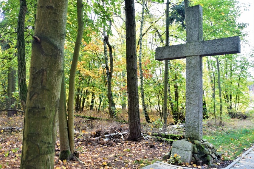 Gmina Zbąszyń. Pomnik - Krzyż Barona Wilhelma von Rosenberg - Nowa Wieś. Dzisiaj łatwo tam trafić - 26.10.2022