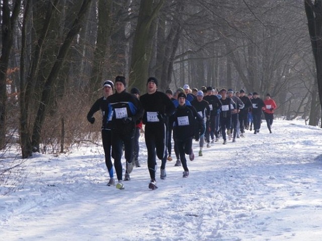 Poznańscy biegacze pobiegną wokół Jeziora Maltańskiego w Endu Winter Run