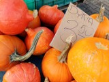 Ile kosztują owoce i warzywa na giełdzie przy Andersa w Białymstoku - ceny 12.11.2020