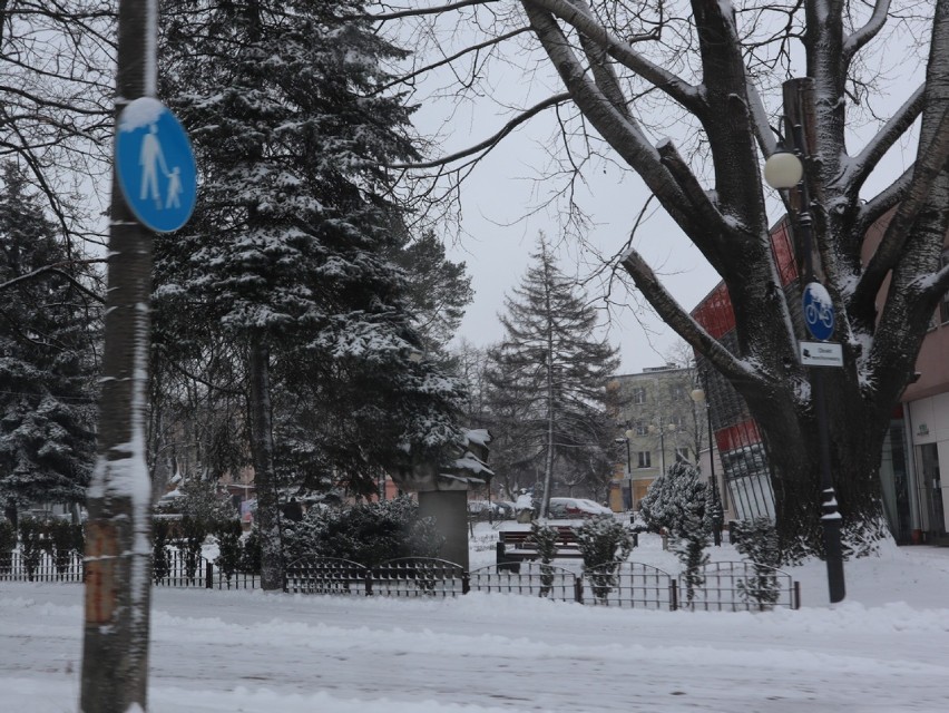 Takiej zimy już dawno w Świdniku nie było! Zobacz zdjęcia miasta pokrytego śniegiem!