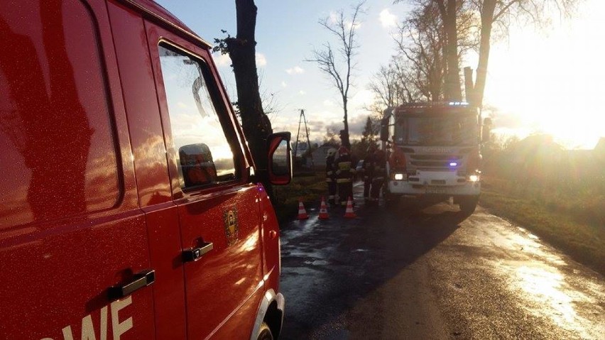 Wypadek w Szczepankach. Samochód uderzył w drzewo [zdjęcia]