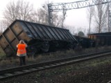 Na trasie Szczecin - Gryfino wykoleił się pociąg [zdjęcia, wideo]