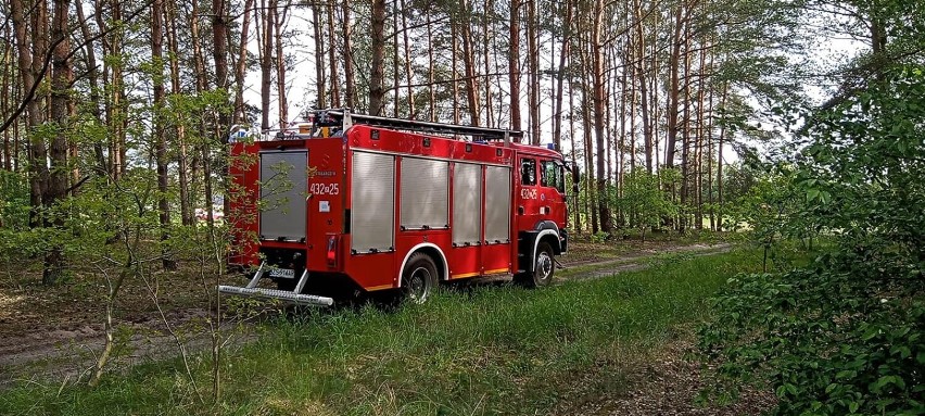 Pożar lasu pod Komarowem. Strażacy z Lubczyny w akcji