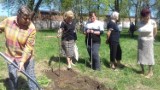 Kargowa. Seniorzy i młodzież posadzili drzewa w hołdzie poległym powstańcom [zdjęcia]