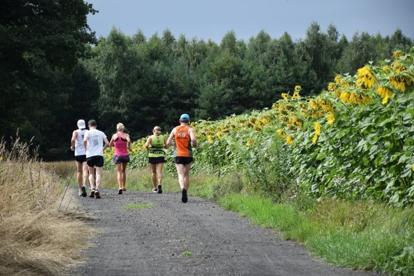 Już w niedzielę II Trzeźwościowy Cross Maraton w Rudzie. Jeszcze do północy można się zapisać