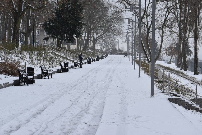 Park Tysiąclecia w Krośnie Odrzańskim w zimowej oprawie.