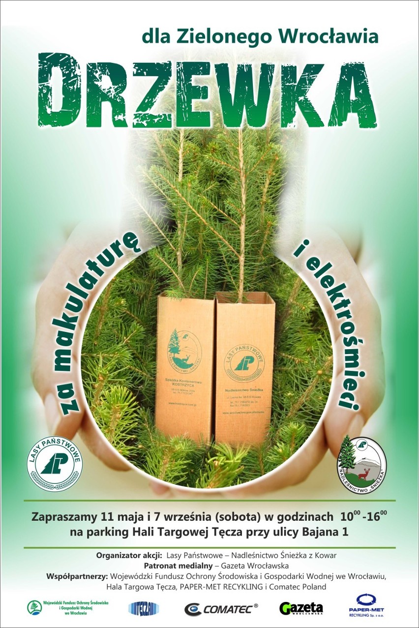 Drzewko za makulaturę i elektrośmieci dla Zielonego Wrocławia.
