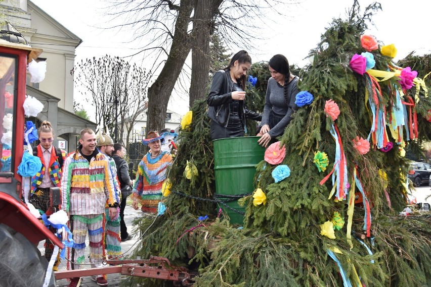 Tradycja polewania panien przez Śmierguśników w Brzeszczach nadal żywa