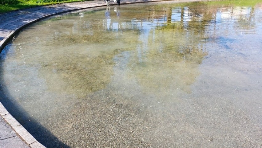 Brzydki zapach z fontanny w Kielcach. To specjalny preparat! Woda dłużej będzie czysta