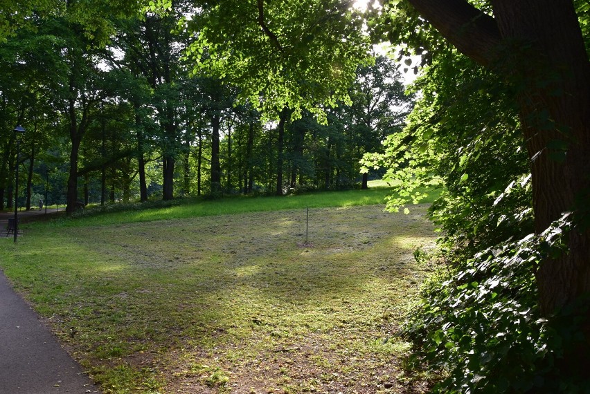 W parku Rusinowa powstało pole do Disc Golfa. Zamontowano kilkanaście słupków.