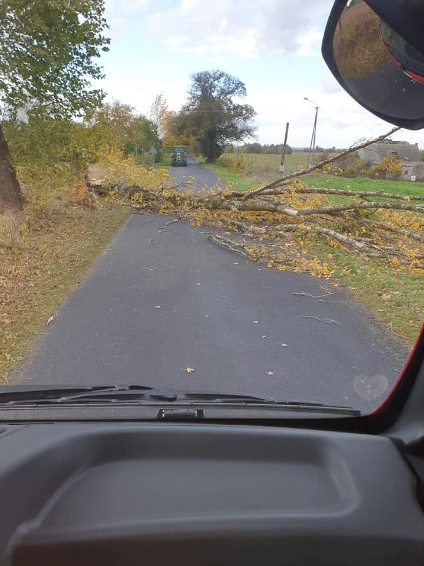 - Wiatr łamał gałęzie drzew i całe drzewa, które blokowały...