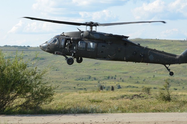 Black Hawk - zdjęcie ilustracyjne.