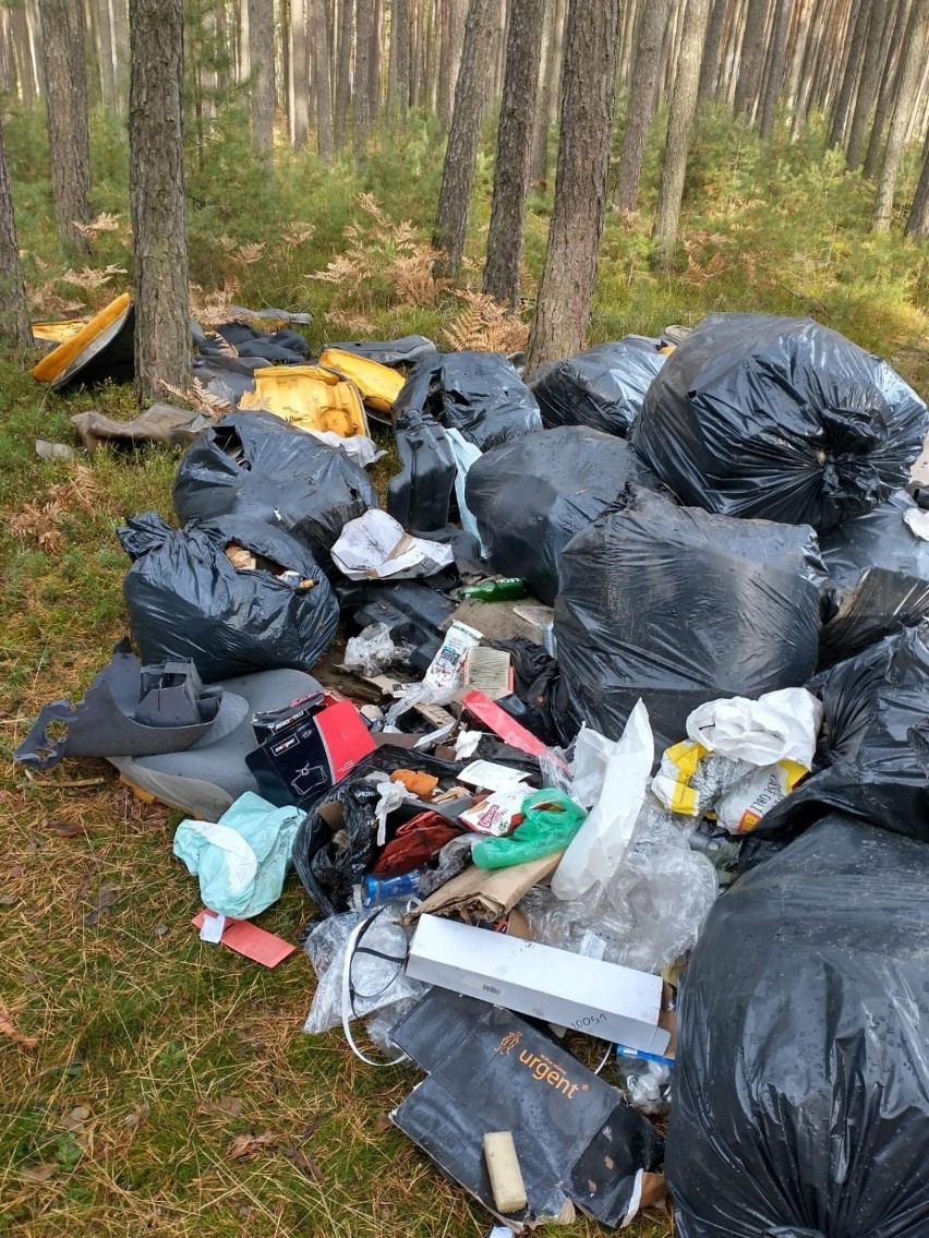 Mnóstwo śmieci wylądowało ostatnio w lasach na terenie woj....