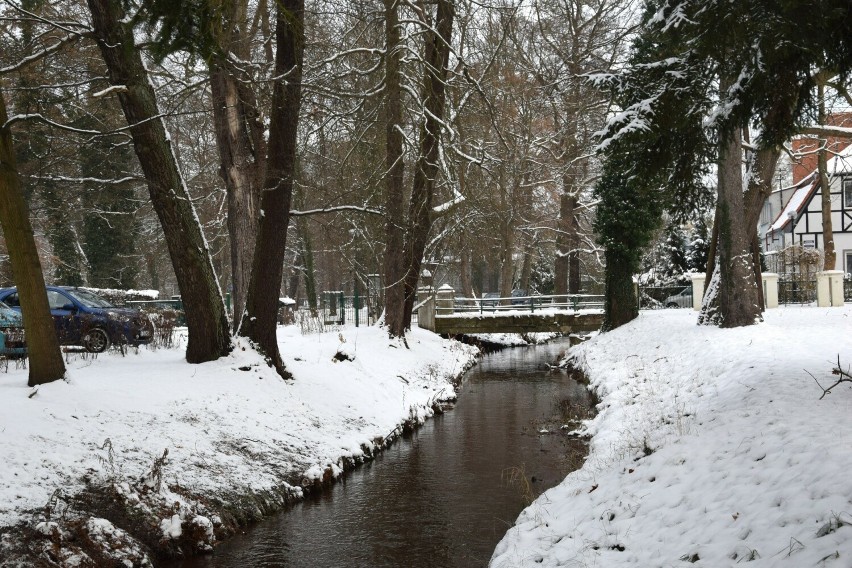 Zimowy Park Dworski w Iłowej