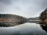 Tak wygląda ukryta plaża w Salnie niedaleko Bydgoszczy. Zobacz niesamowite zdjęcia jeziora 