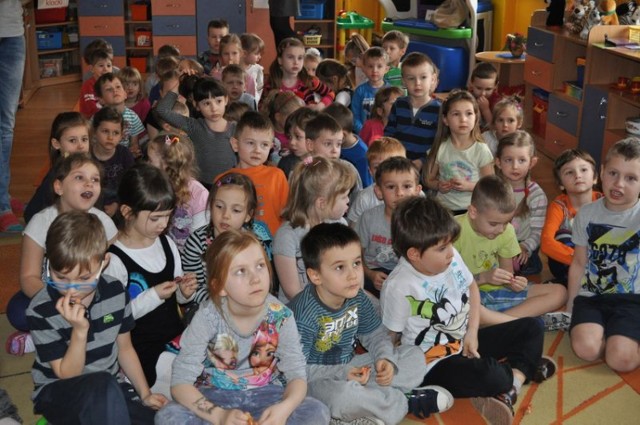 Dzień Kota w bartoszyckich przedszkolach