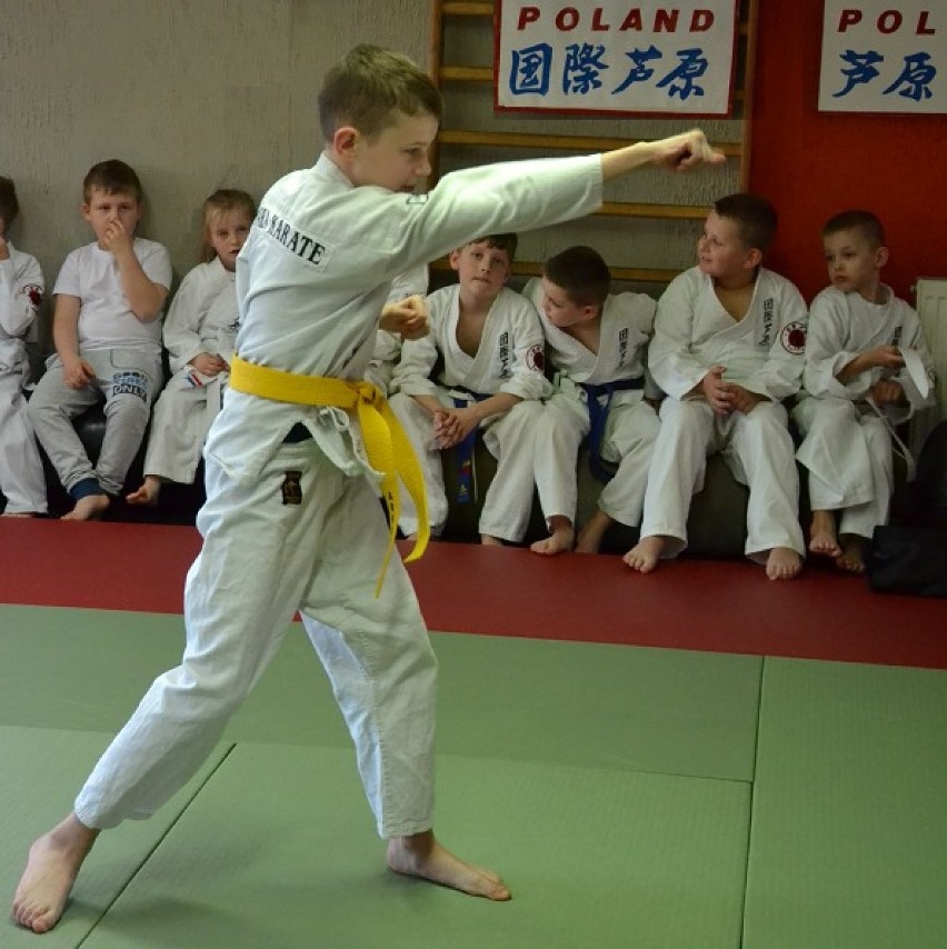 Sukcesy zawodników Klubu Ashihara Karate w Darłowie na wojewódzkim turnieju [ZDJĘCIA]
