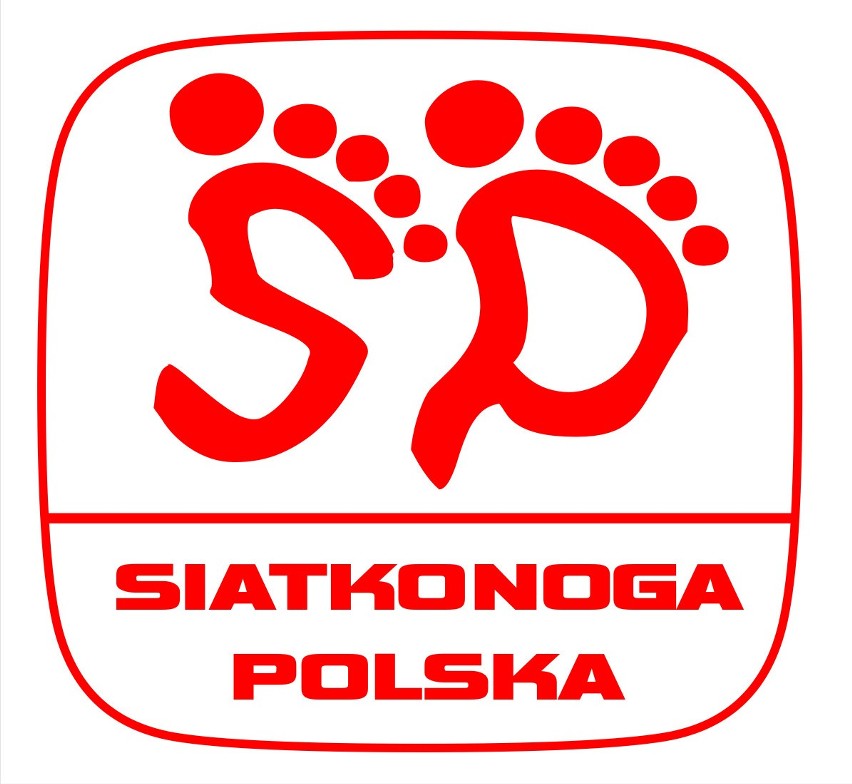 Drużyna ze Szczecina mistrzem Polski w siatkonogę
