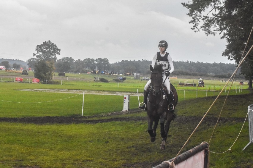 Gm. Szamotuły. Trwają zawody konne LOTTO Baborówko Horse Sale Show [ZDJĘCIA]